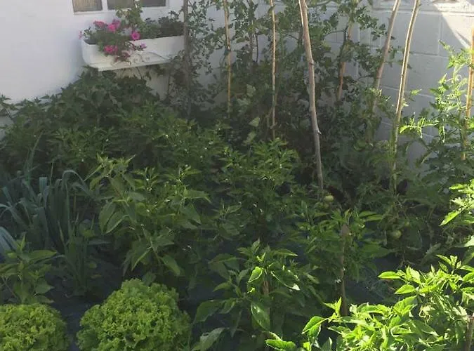 Casa De Rilo ,para 6/8 En La Playa De Nerga